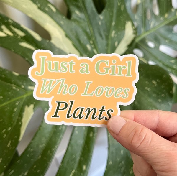 Tiny Plant Market - Just a Girl Who Loves Plants