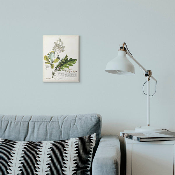 Stupell Industries - Botanical Plant Illustration Leaves Vintage Wall Plaque: MDF Wood / 10x15
