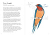 Chronicle Books - Dumb Birds Field Guide to the Worst Birds Ever