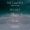 Sweet Water Decor - Salt and Sea 11 oz Soy Candle - Home Decor & Gifts