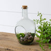 Audrey's - Front Open Terrarium With Cork, Sm (PC)