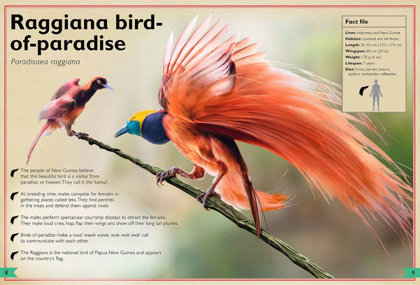 Insight Editions - The Magnificent Book of Birds