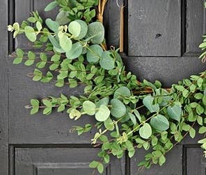Impressive Enterprises, Inc. - 27390 - 24in Wreath-Mixed Eucalyptus-