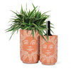Abbott - Sm Sun Face Vase/Cooler-8"H
