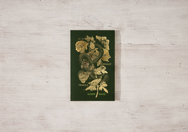 Thought Catalog - It Is All Equally Fragile - poetry book