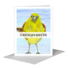 Printed Canvas - Skeet, Greeting Card (8326C): A2 Card