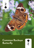 Mountaineers Books - Pollinators of North America Deck: 52 Playing Cards