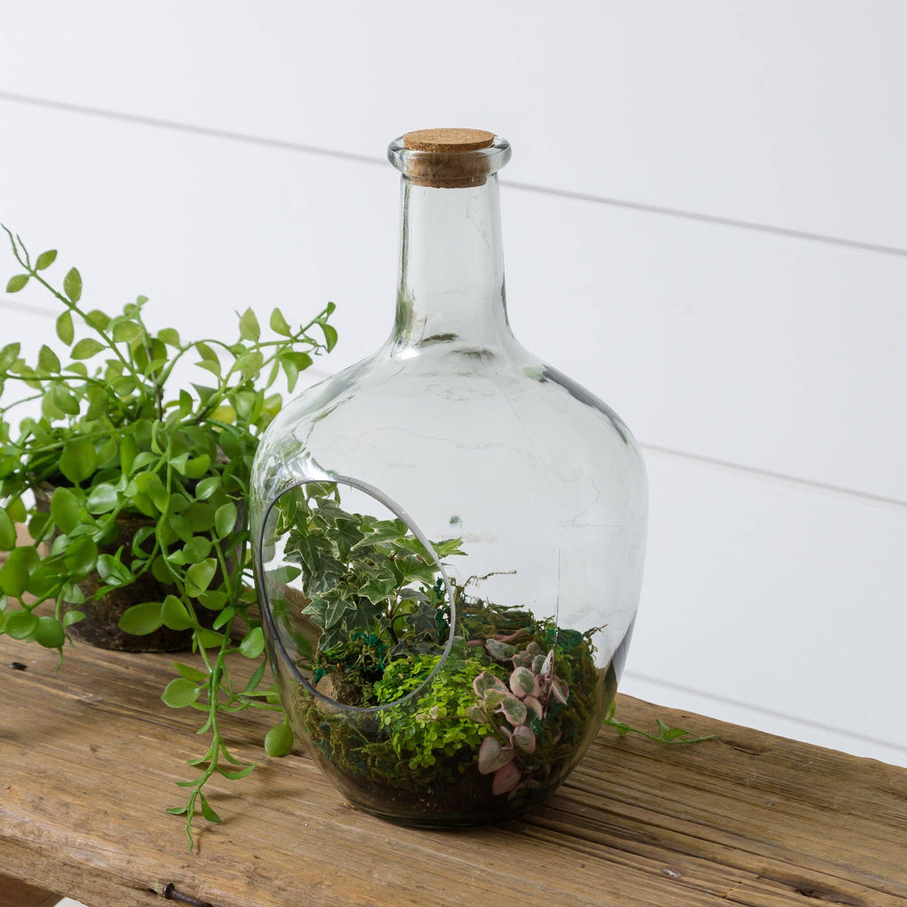 Audrey's - Front Open Terrarium With Cork, Sm (PC)