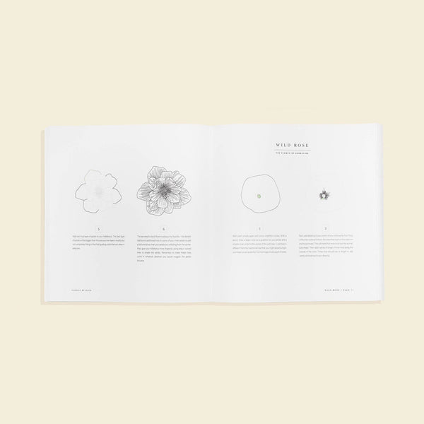 Paige Tate & Co. - Florals By Hand: How to Draw Modern Floral Projects