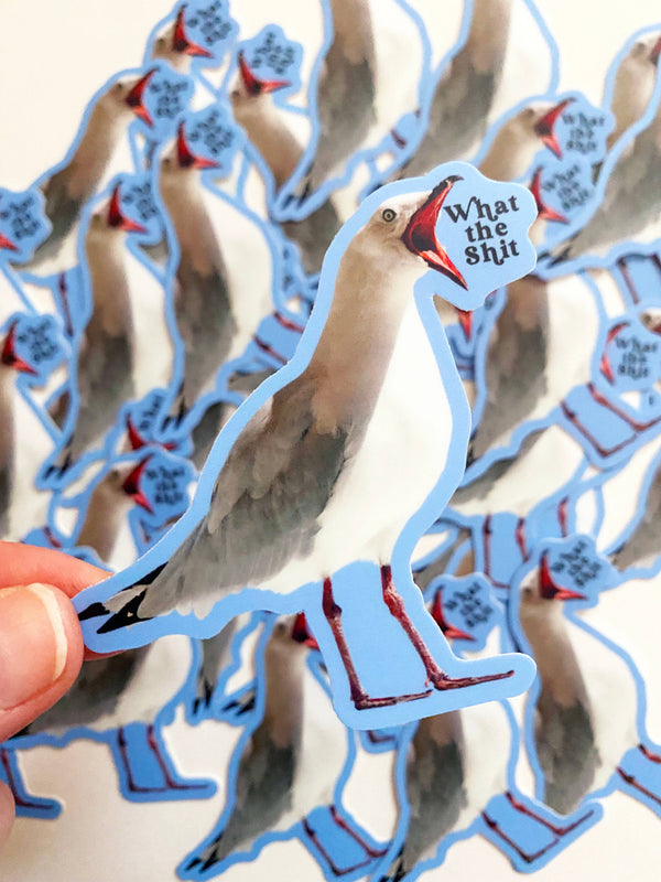 The Coin Laundry - What the Shit Bird Sticker - Funny Stickers for Laptop
