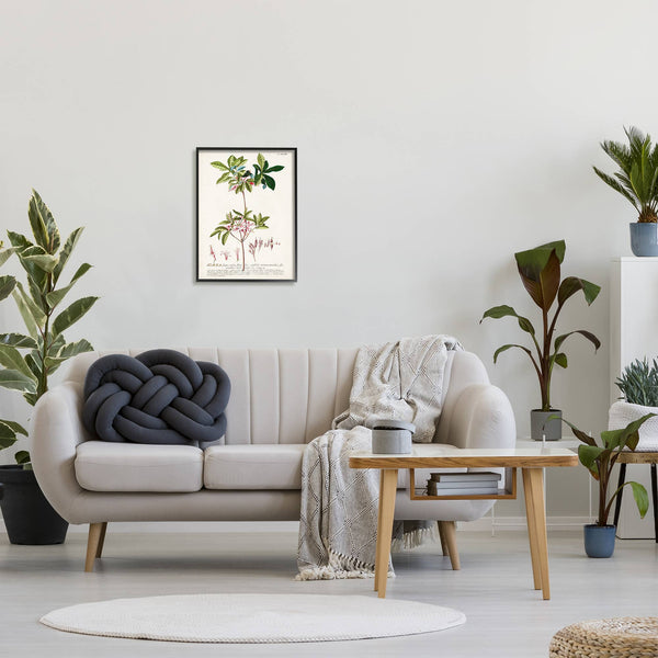 Stupell Industries - Botanical Plant Illustration Pink Flowers Vintage Framed: Black Framed
