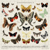 Trove - Wooden Puzzle: Butterflies + Moths in Glass  Jar