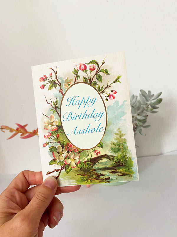 The Coin Laundry - Happy Birthday Asshole Funny Greeting Card