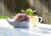 Abbott - Sm Whale Low Planter-8"L