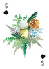 Mountaineers Books - A Woman's Place Is in the Wild: Deck of 52 Playing Cards