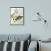 Stupell Industries - Botanical Plant Illustration Leaves Vintage Black Framed