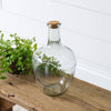 Audrey's - Front Open Terrarium With Cork, Sm (PC)