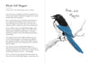 Chronicle Books - Dumb Birds Field Guide to the Worst Birds Ever