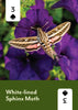 Mountaineers Books - Pollinators of North America Deck: 52 Playing Cards