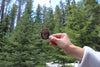 Squatchy - Squatchy Bigfoot Sticker