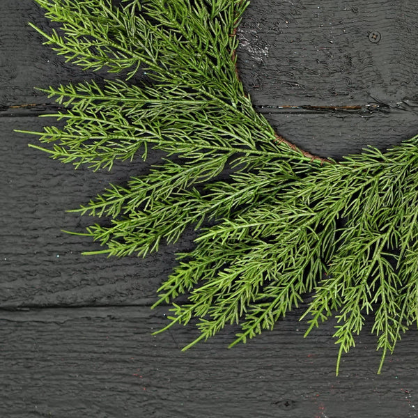 Impressive Enterprises, Inc. - 510062- 17in(6.5)Wreath-Soft Touch Evergreen Cedar Pine