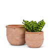 Abbott - Sm Terracotta Rustic Planter-6"H