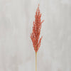 Primitives by Kathy - Rust Pampas Grass Floral Pick
