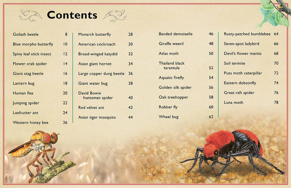 Insight Editions - The Magnificent Book of Insects and Spiders