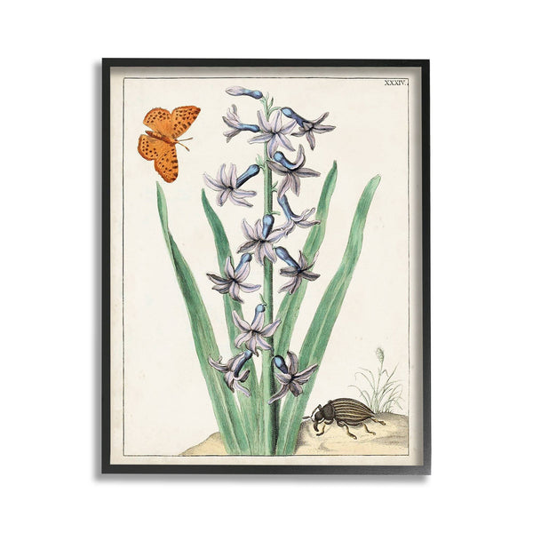 Stupell Industries - Vintage Plant & Beetle Framed: Black / 11 x 14