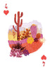 Mountaineers Books - A Woman's Place Is in the Wild: Deck of 52 Playing Cards