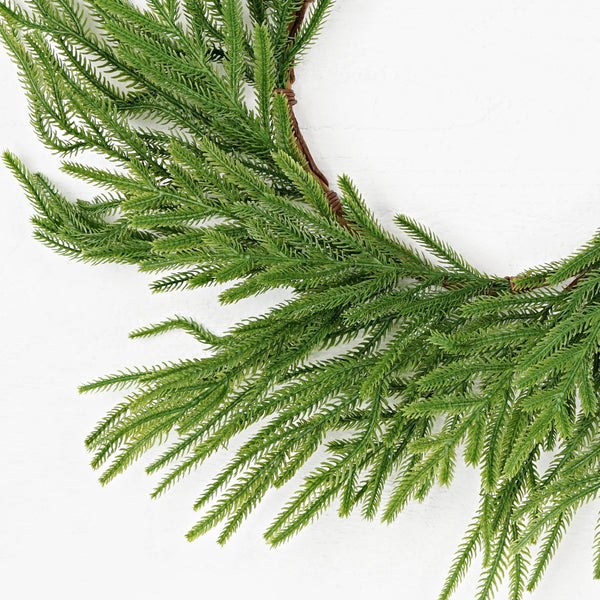 Impressive Enterprises, Inc. - 31850- 24in Wreath-Soft touch Evergreen Norfolk Pine-