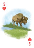 Mountaineers Books - A Woman's Place Is in the Wild: Deck of 52 Playing Cards