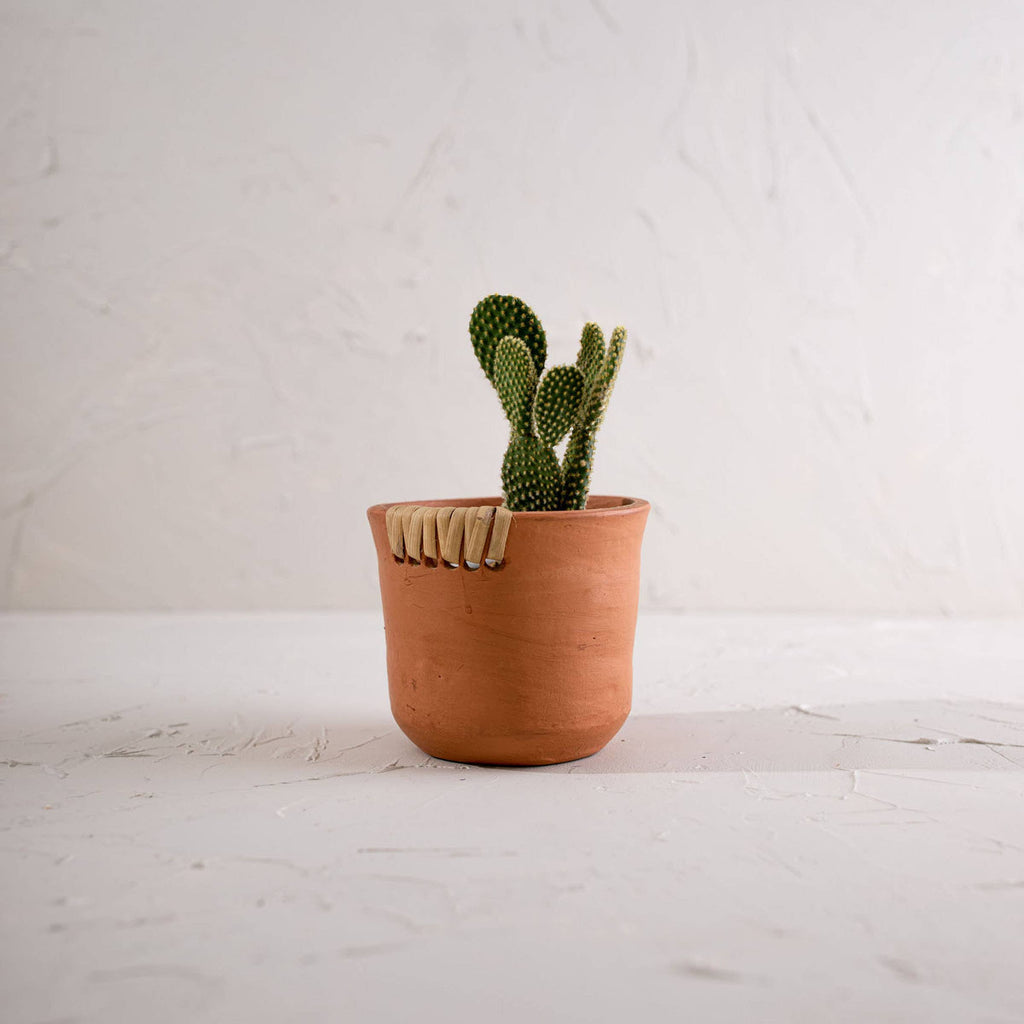 Foreside Home & Garden - Mesa Terracotta Planter Small