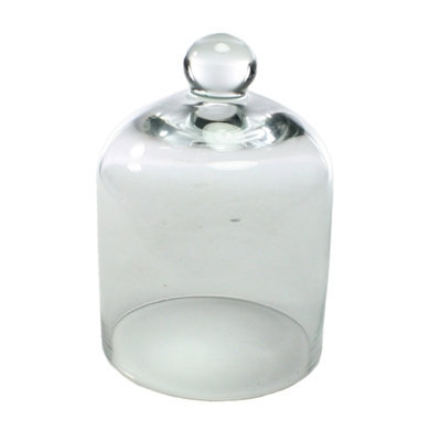 HomArt - Glass Dome - Mini - Clear