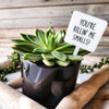 Mad River - Snarky Plant Marker Stake - You're killin' me