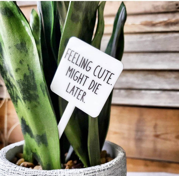 Mad River - Snarky Plant Marker Stake - Feeling Cute. Might Die Later.