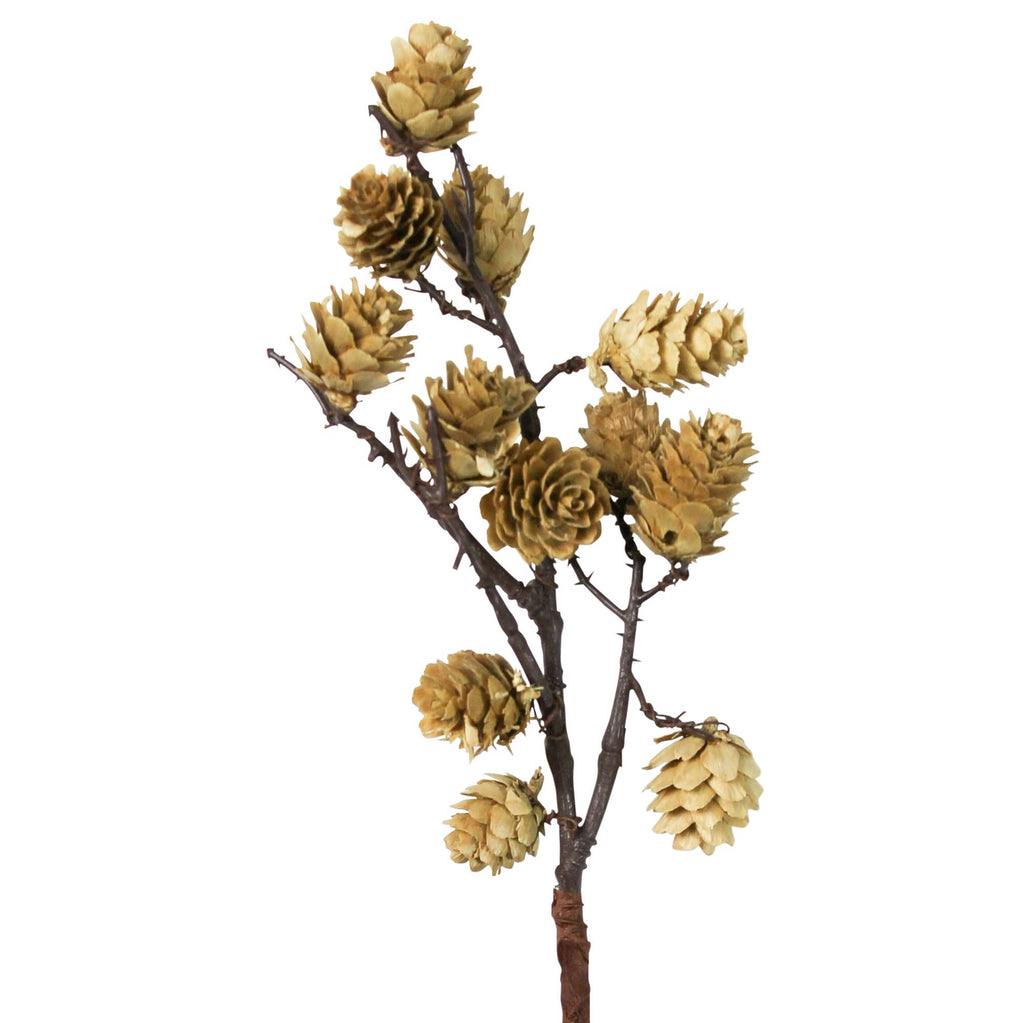HomArt - Botanical Stem - Mini Pinecone, White