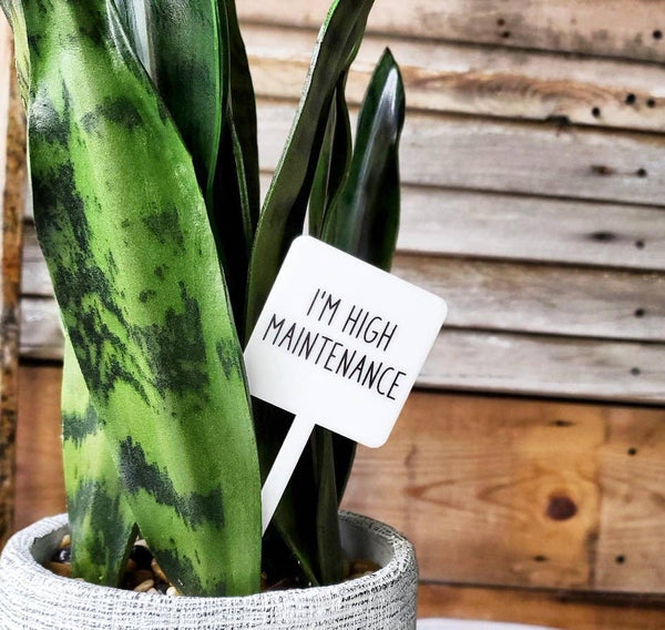 Mad River - Snarky Plant Marker Stake - I'm High Maintenance