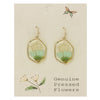 ZAD - Cottage Floral Green Dried Flower Earrings