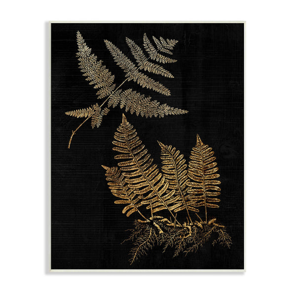 Stupell Industries - Fern Plant Illustration Bold Vintage Forest Botanical Plaque