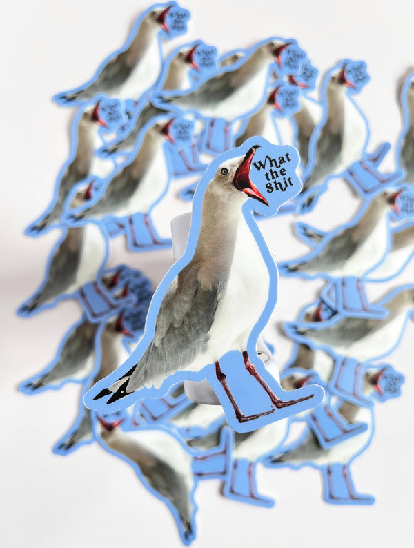 The Coin Laundry - What the Shit Bird Sticker - Funny Stickers for Laptop