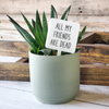Mad River - Plant Marker Stake -  All My Friends are Dead
