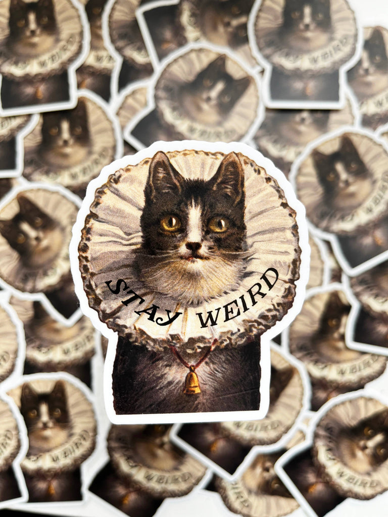 The Coin Laundry - Stay Weird Kitty Sticker - Funny Cat Stickers