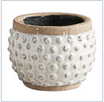 47th & Main (Creative Brands) - Polka Dot Planter Pot Sm
