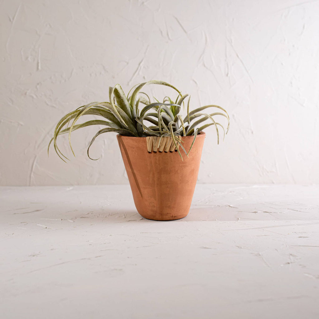 Foreside Home & Garden - Mesa Terracotta Planter Large