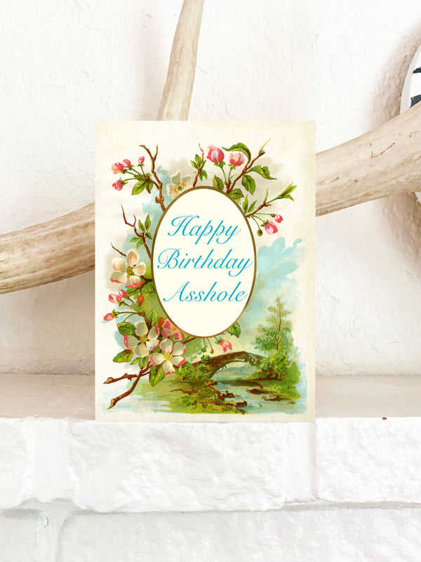 The Coin Laundry - Happy Birthday Asshole Funny Greeting Card