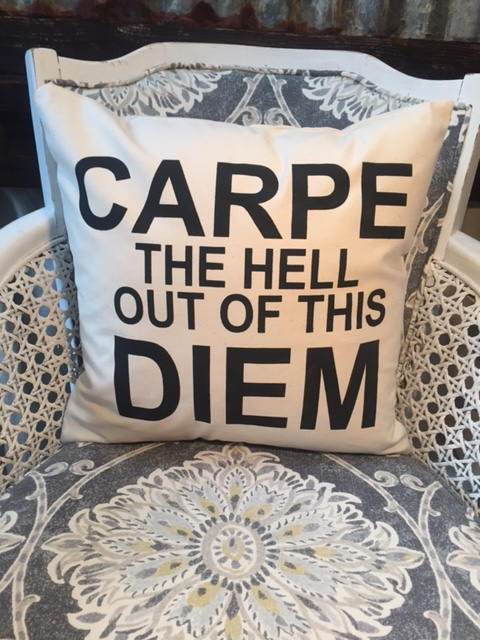 Carpe the hell out of this Diem pillow 18" home decor, gift quote pillow
