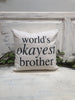 Worlds okayest brother  14" pillow, home decor, gift quote pillow