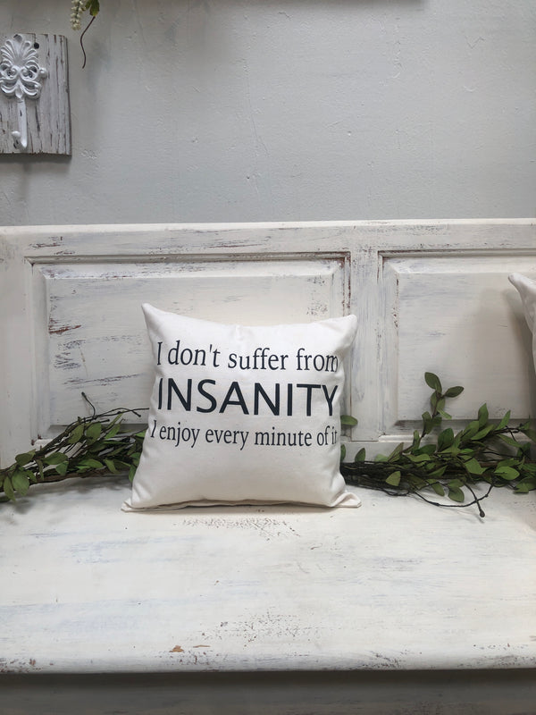 Insanity 14" pillow, home decor, gift quote pillow