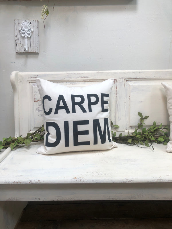 Carpe Diem 18" home decor, gift quote pillow